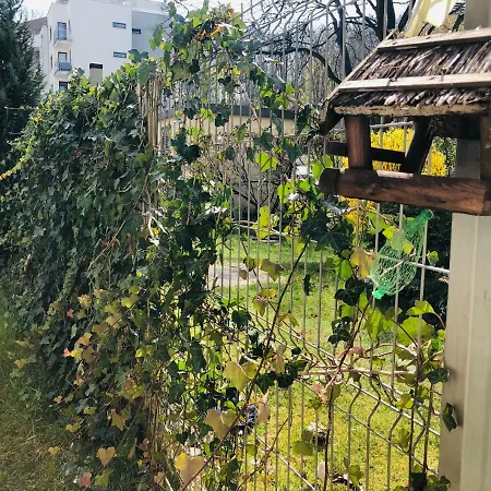 Cozy Cosy Pohulanka
